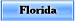FL Wireless